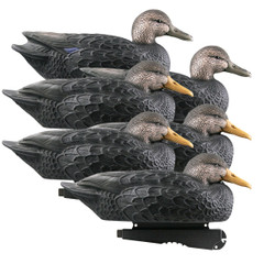 GHG Over-Size Black Duck Decoys - 6 Pack